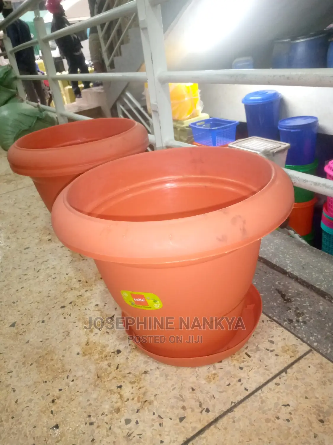 Cello Plastic Flowerpot