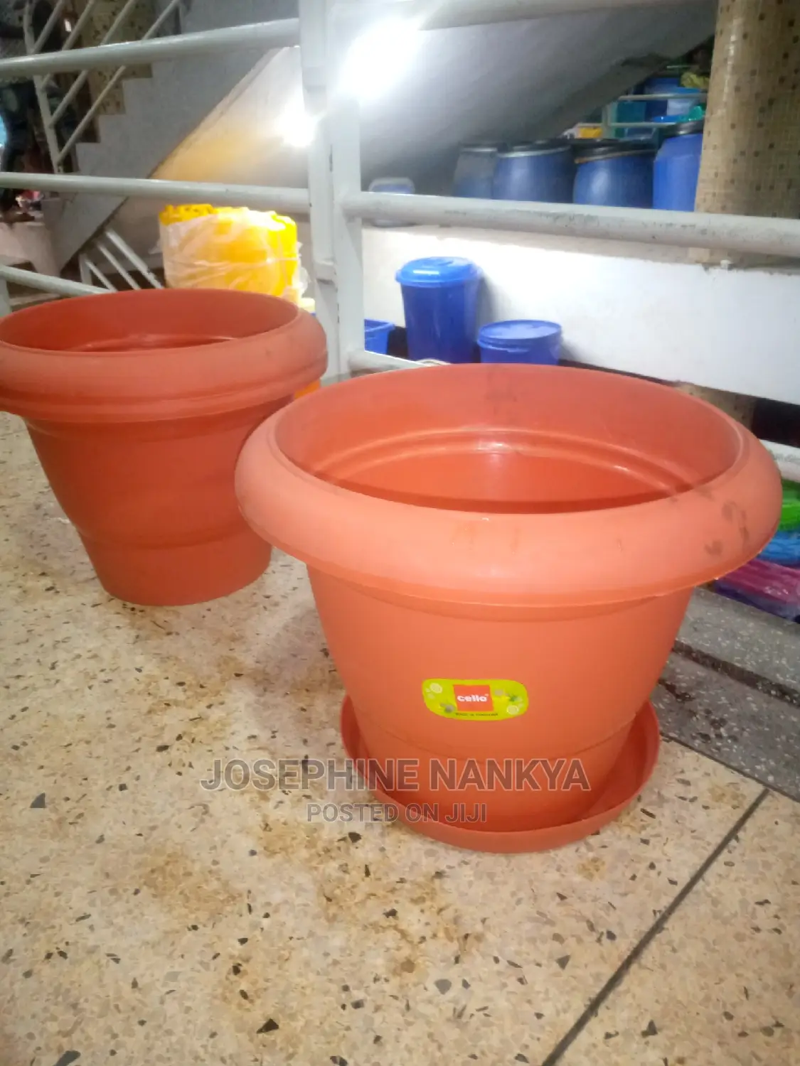 Cello Plastic Flowerpot