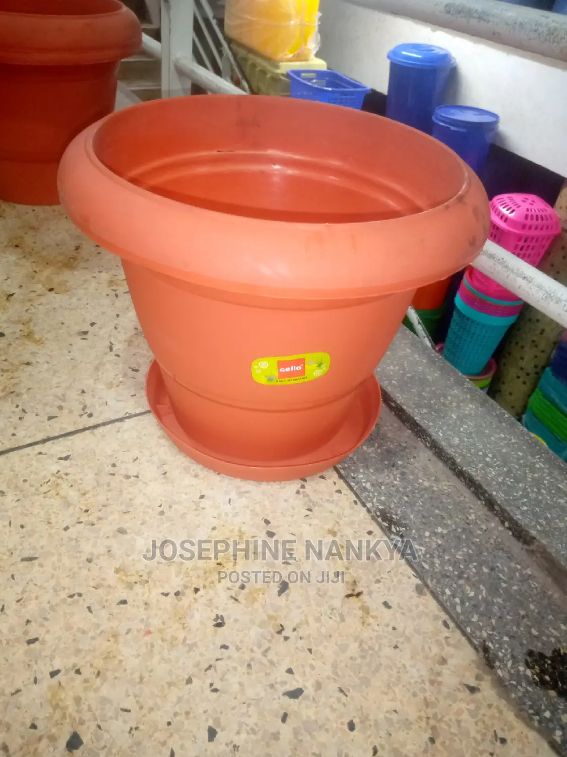 Cello Plastic Flowerpot