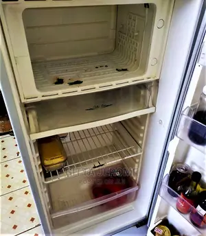 Fridge and Freezer Repair/ Gas Refill