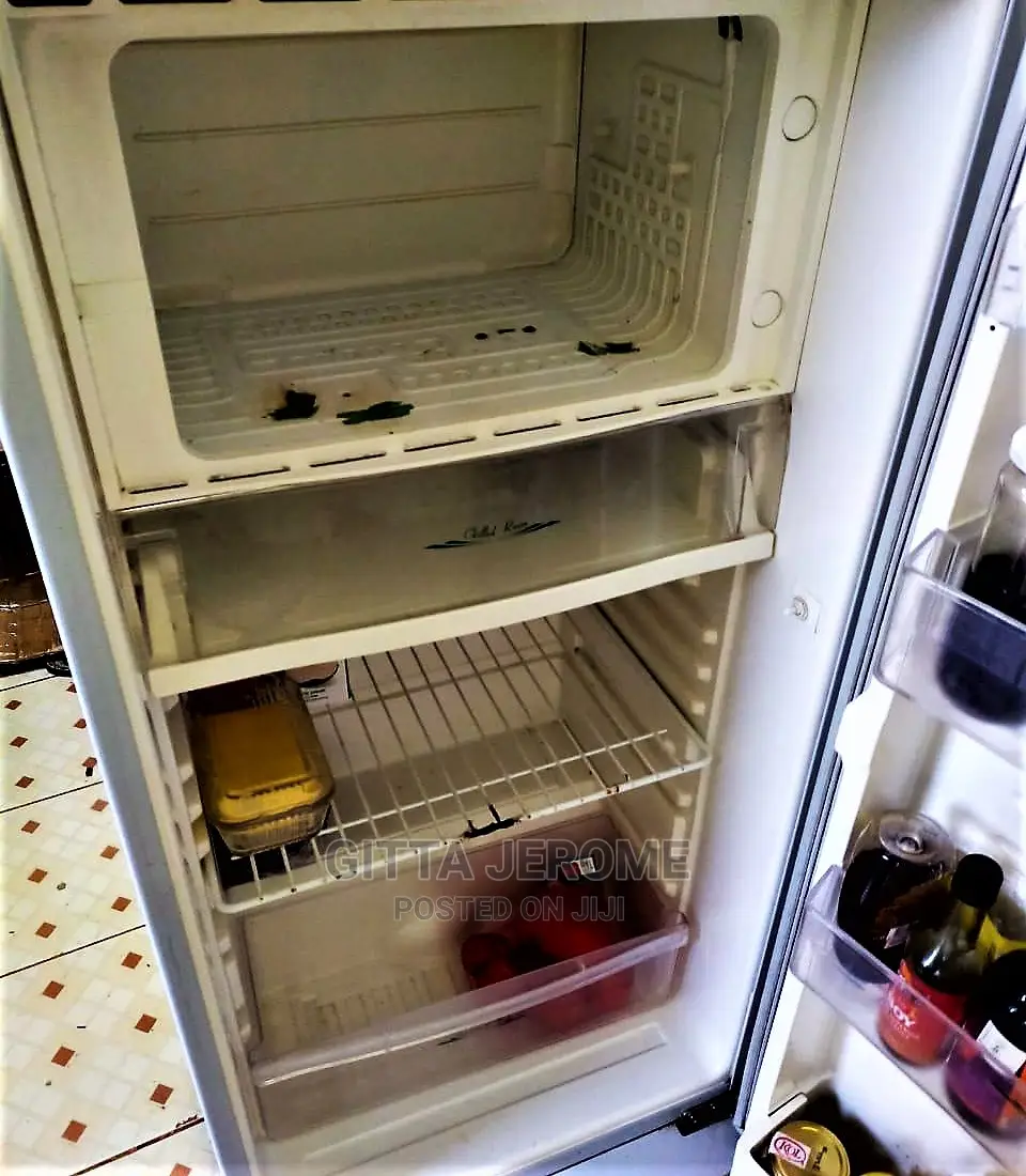 Fridge and Freezer Repair/ Gas Refill