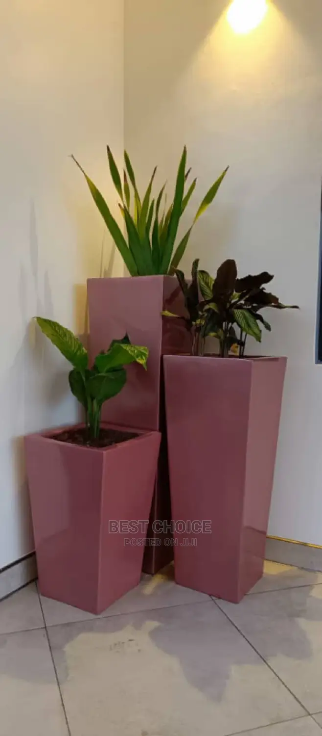 Beautify Your Property With the Best Compound Designers.