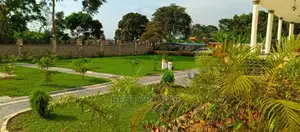 Beautify Your Property With the Best Compound Designers.