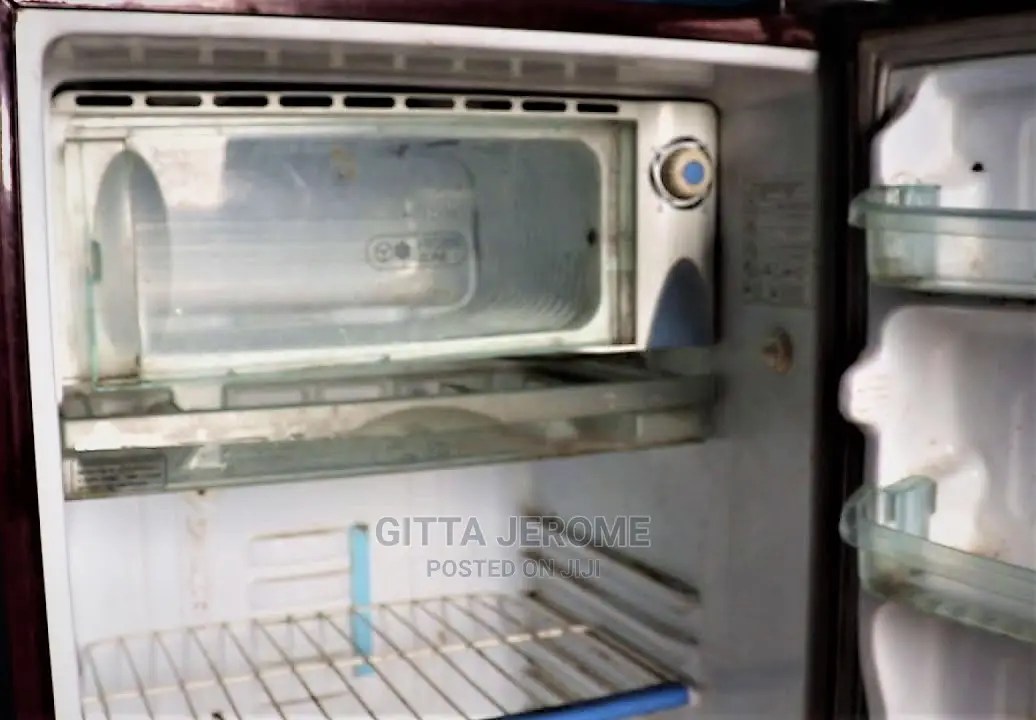 Fridge and Freezer Repair Services / Gas Refill