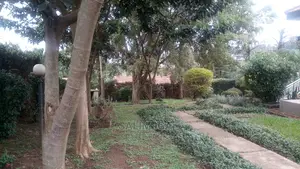 4bdrm Bungalow in Kololo Property, Central Division for Rent