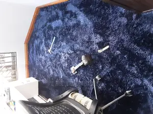 Shaggy Wall to Wall Carpets