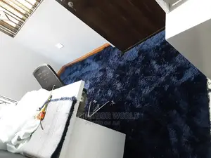 Shaggy Wall to Wall Carpets