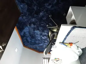 Super Soft Shaggy Carpets