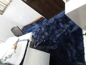 Super Soft Shaggy Carpets