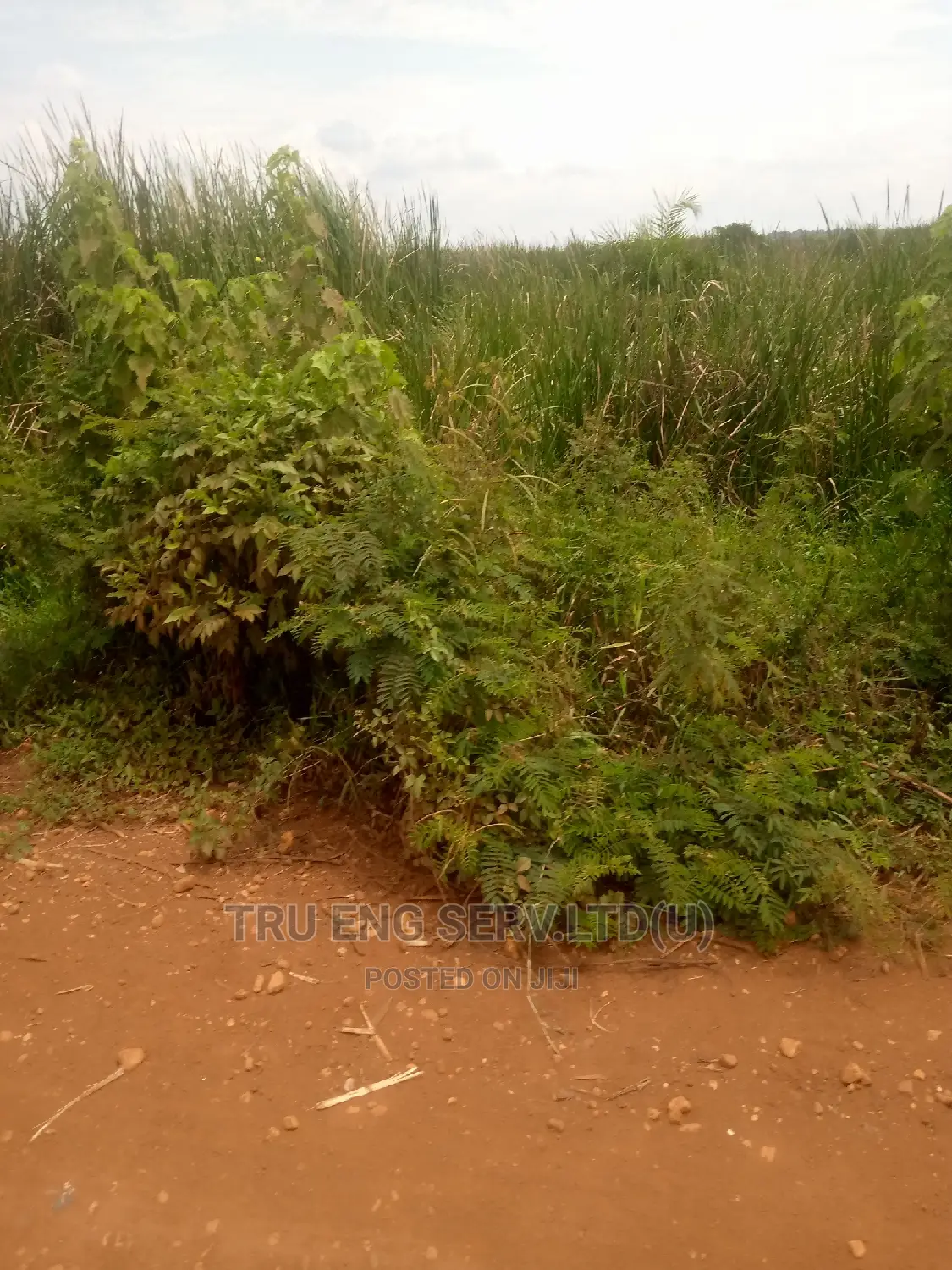 450 Acres of Land in Bugiri for Sale