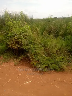 450 Acres of Land in Bugiri for Sale