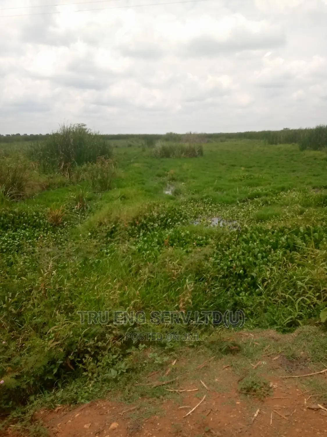 450 Acres of Land in Bugiri for Sale
