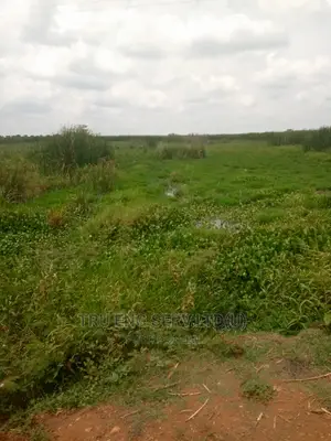 450 Acres of Land in Bugiri for Sale