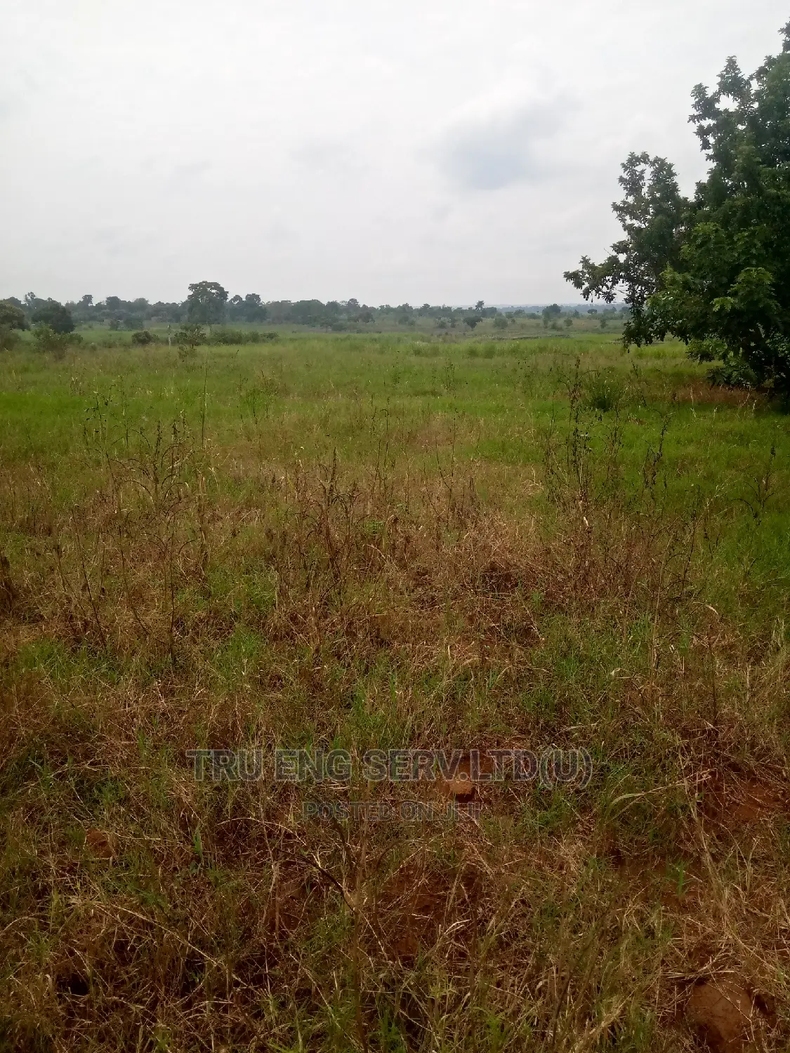 450 Acres of Land in Bugiri for Sale