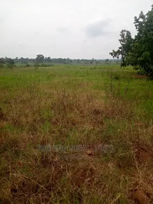 450 Acres of Land in Bugiri for Sale