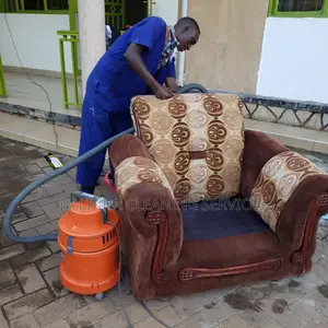 Sufficient Sofa Cleaning in Progress