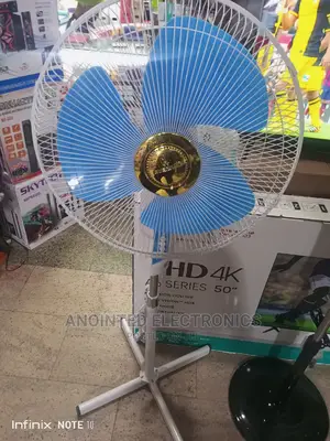 Evernal Stand Fan