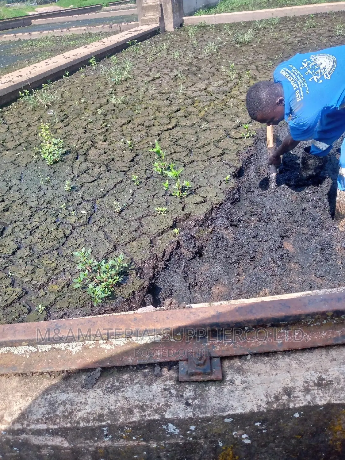 Treated Sewage Manure