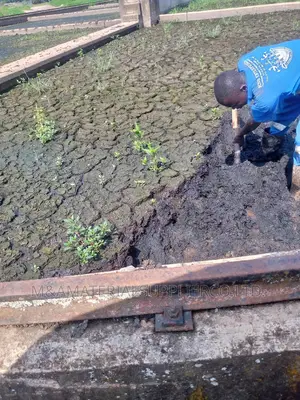 Treated Sewage Manure