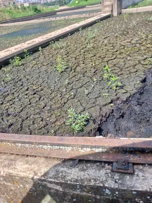 Treated Sewage Manure