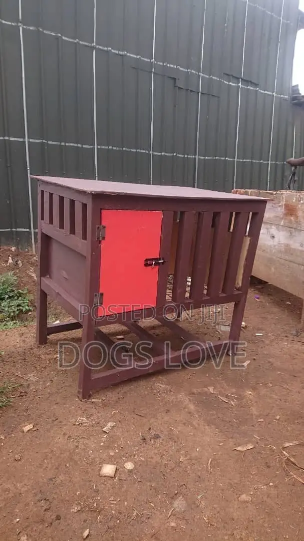 Indoor Cages for Dogs