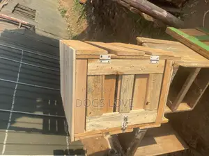 Indoor Cages for Dogs