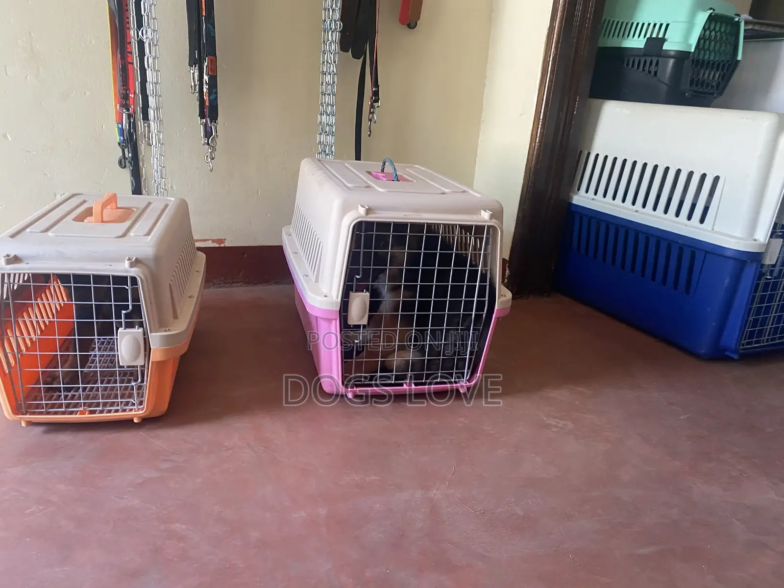 Travel Crates