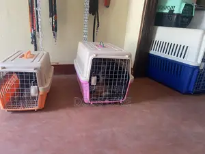 Travel Crates