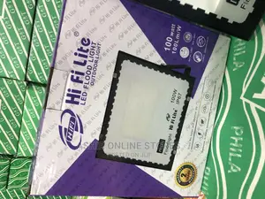 Warm White Flood Light for 100watts