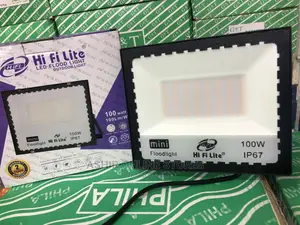 Warm White Flood Light for 100watts