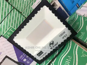 Warm White Flood Light for 100watts
