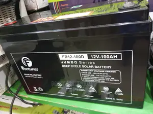100ah Fortuner Battery