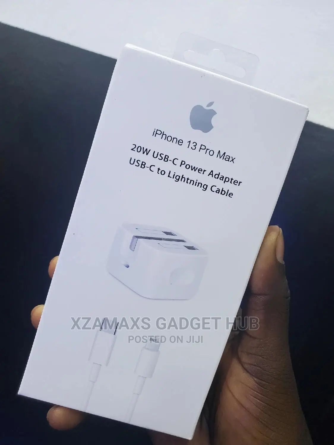 iPhone Charger