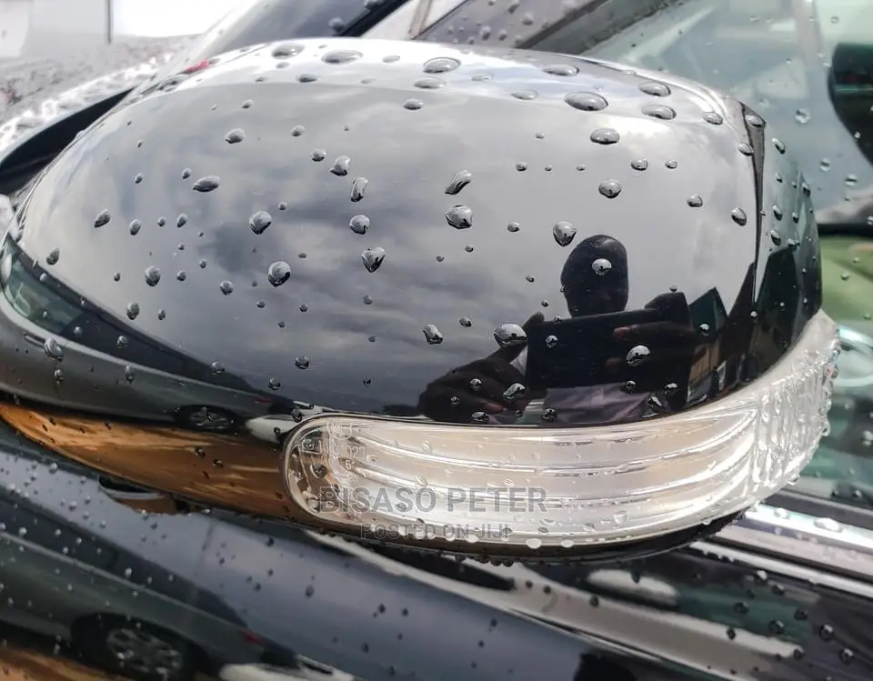 Toyota Mark X 2009 Black