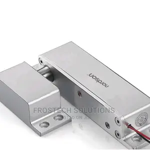 Electric Bolt 12v/24v DC