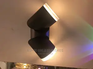 LED Double Wall Light