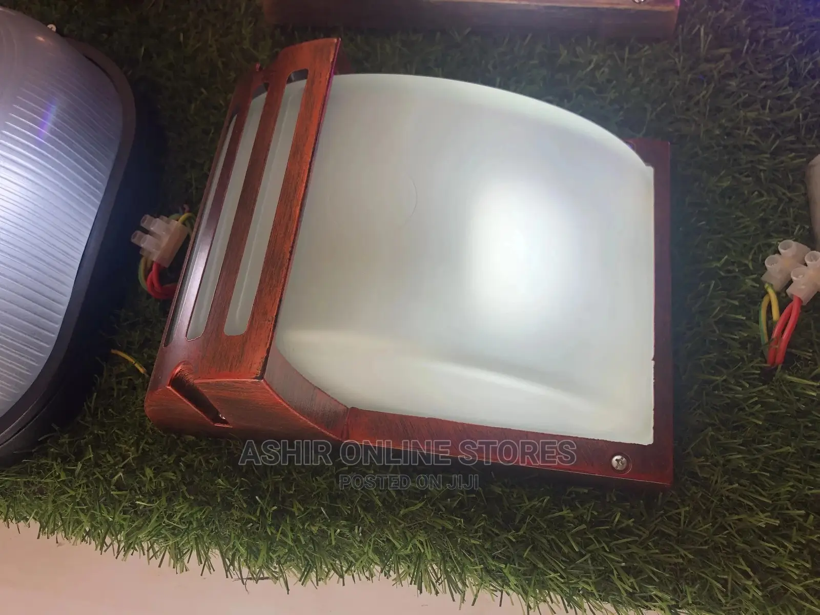 Security Wall Light