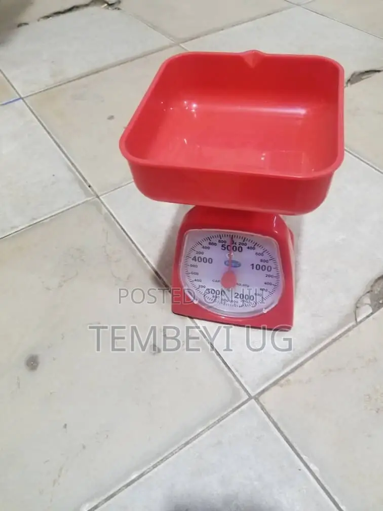 500g Kitchen Weighing Scale, With Tray