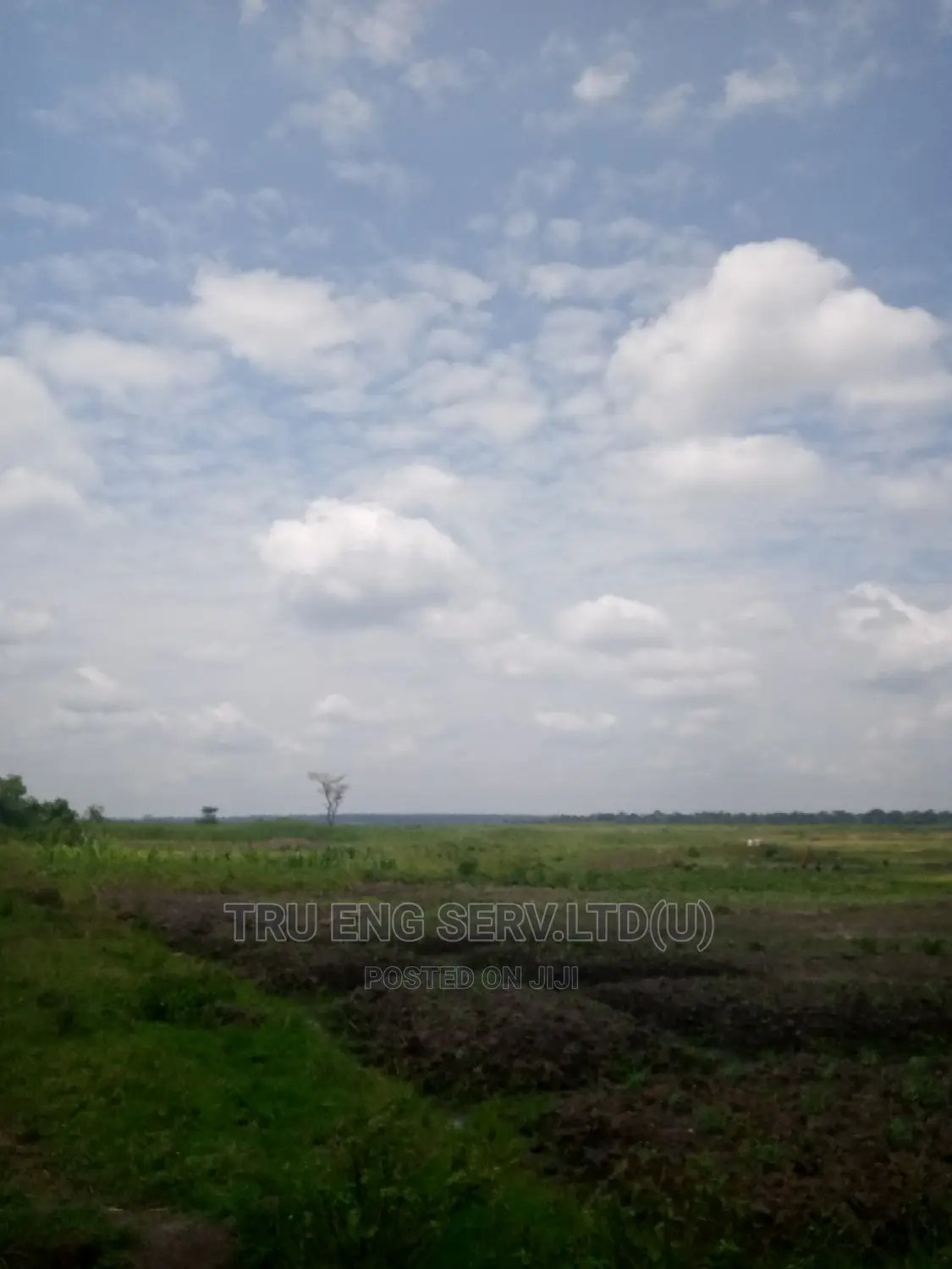 35 Acres in Buyende for Sale