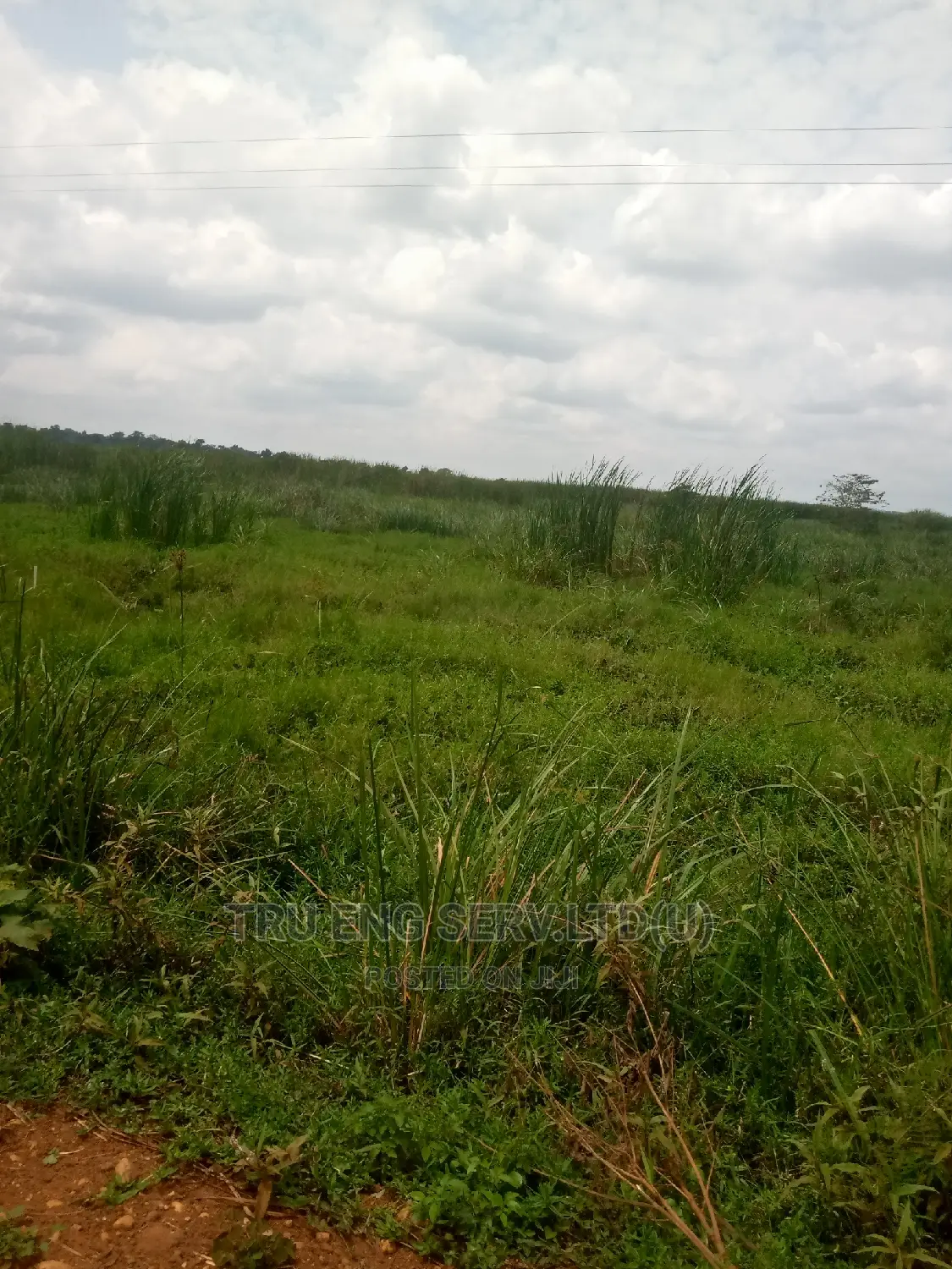 35 Acres in Buyende for Sale