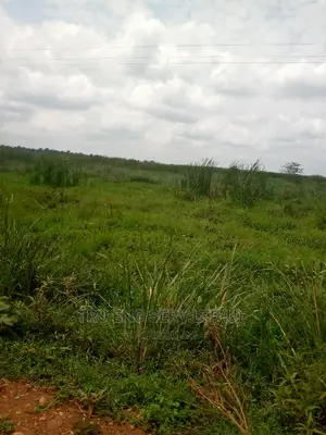 35 Acres in Buyende for Sale