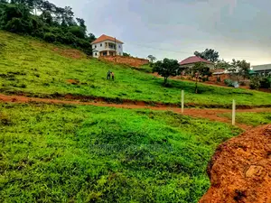Wakiso Kayunga Plots