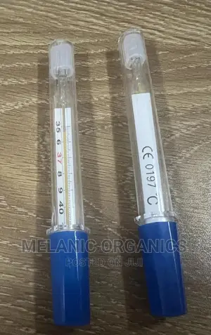 Original Clinical Thermometer