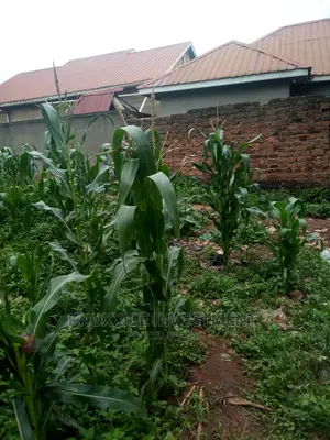 Plot for Sale 40x50ft at 10m Ugx Lukwaga Sentema Town