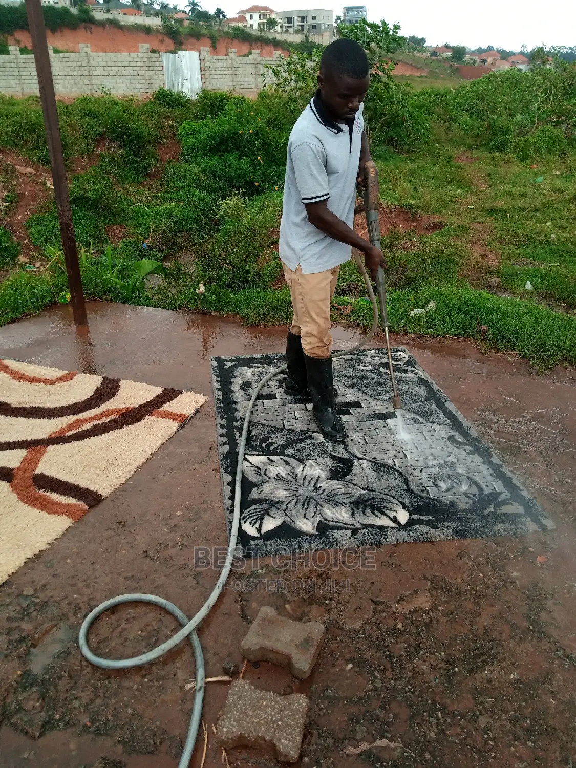 Carpet Cleaning for Dust Stains Bad Smell House Hold Pests