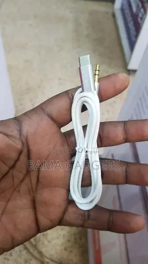 Earldom Pin to Type C Aux