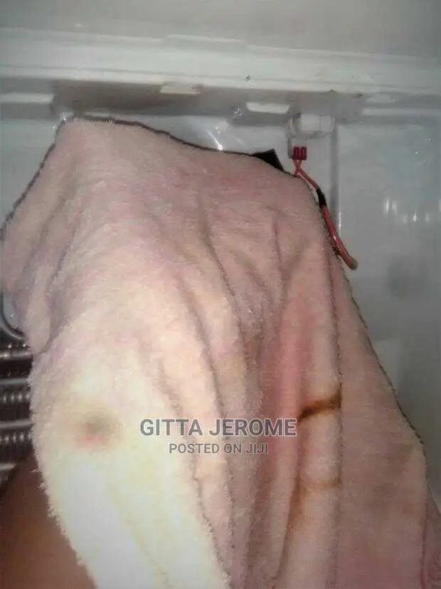 Chill Freezers and Fridge Repairs / Mechanic