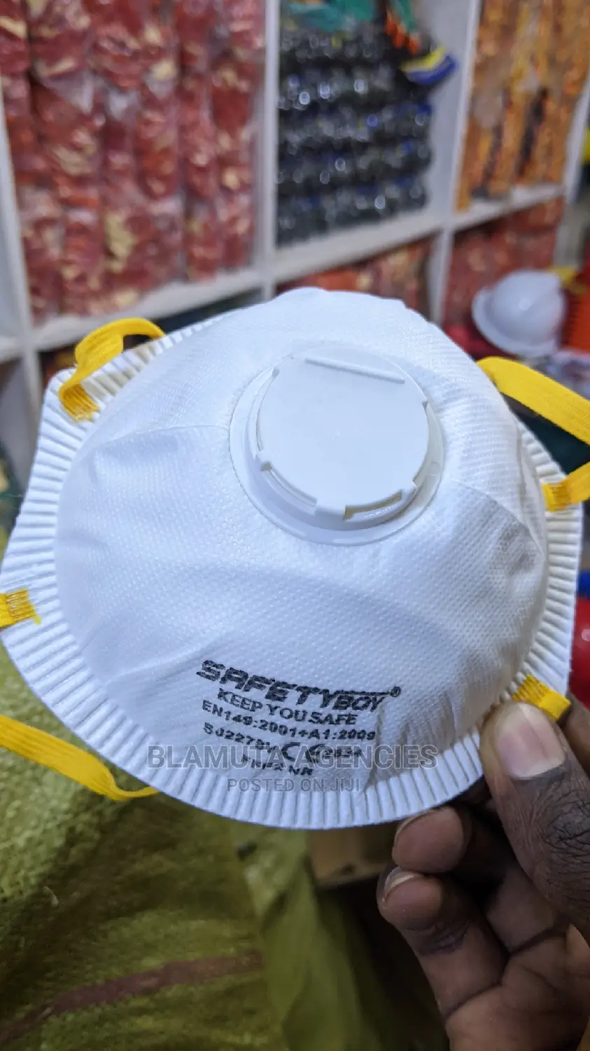 Valved Dust Mist Respirator (FFP2 Mask