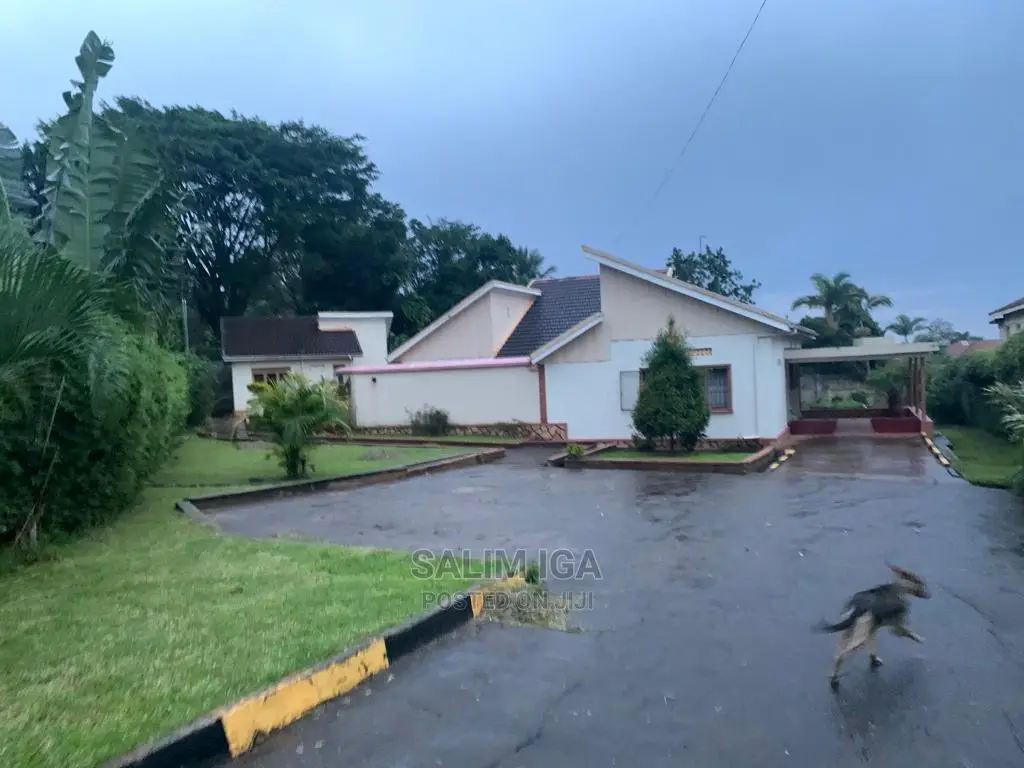 4bdrm Bungalow in Kololo Property, Central Division for Rent