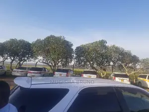 Easy-Way Airport Taxi Service